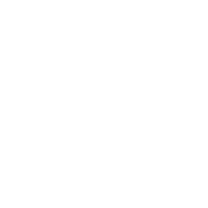 Icon_Secure-Cloud