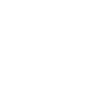Icon_Thinking-about-security-and-privacy